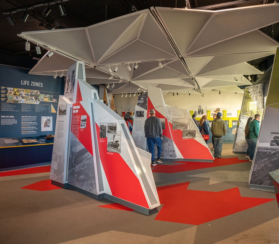 A Group Of People In A Large Room